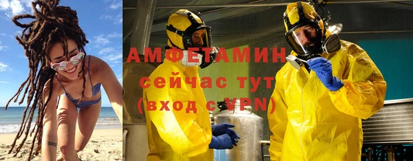винт Алзамай