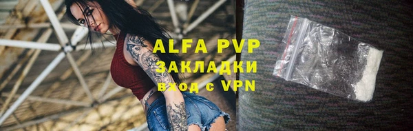 шишки Сатка